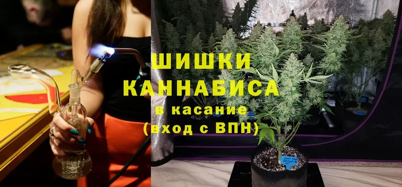 цена   Шали  Бошки марихуана THC 21% 